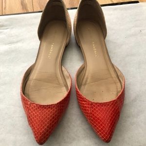 Loeffler Randall Colorblock Pointed-toe d’Orsay